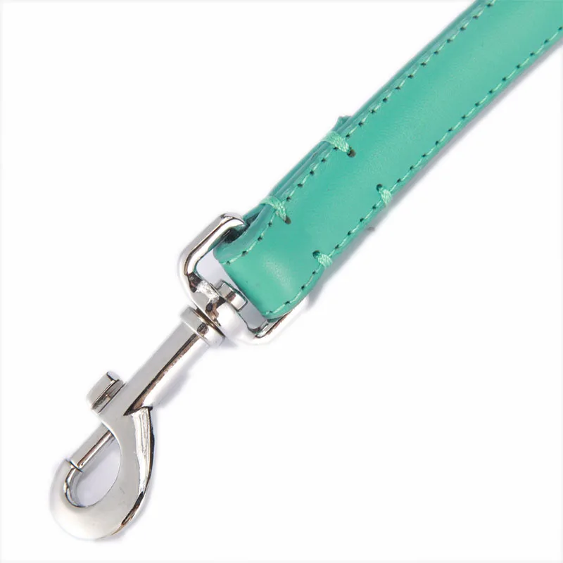 Dog Leash YS0030-5