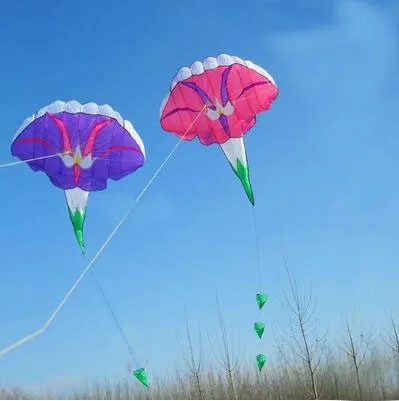 Бесплатная доставка высокое качество мягкие ktes Morning Glory воздушный змей красивый в