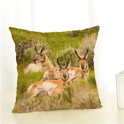 8 Новое поступление 45x45 Housewear HD животных стул Чехлы мягкую подушку случае Cojines Almofadas хлопок белье Площадь - Цвет: 8