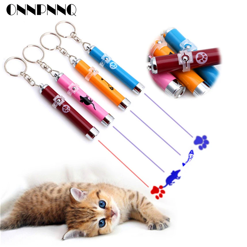 66 Gambar Hewan Animasi Kucing HD Terbaru