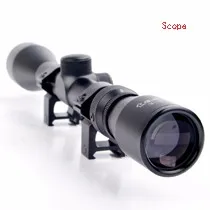 1Scope