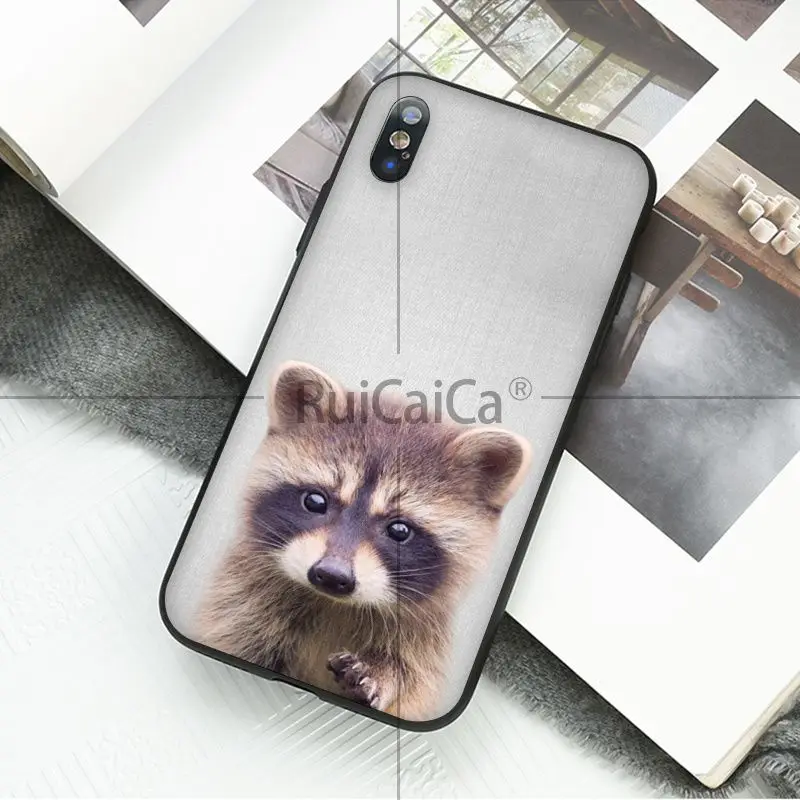 Animal dog cat tiger penguin baby