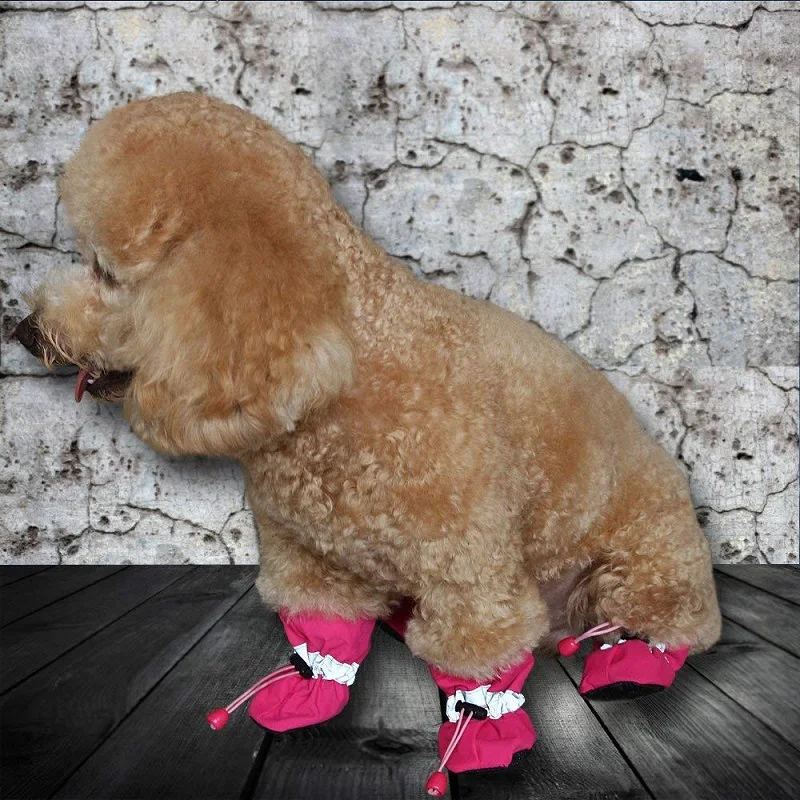 9282276849_1497423639