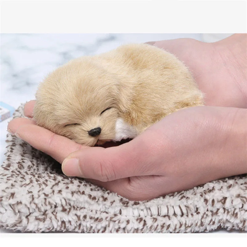 For Real Puppies Teacup Pomeranian Puppies for sale Dogs & Puppies