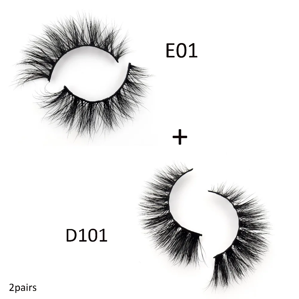 E01 D101