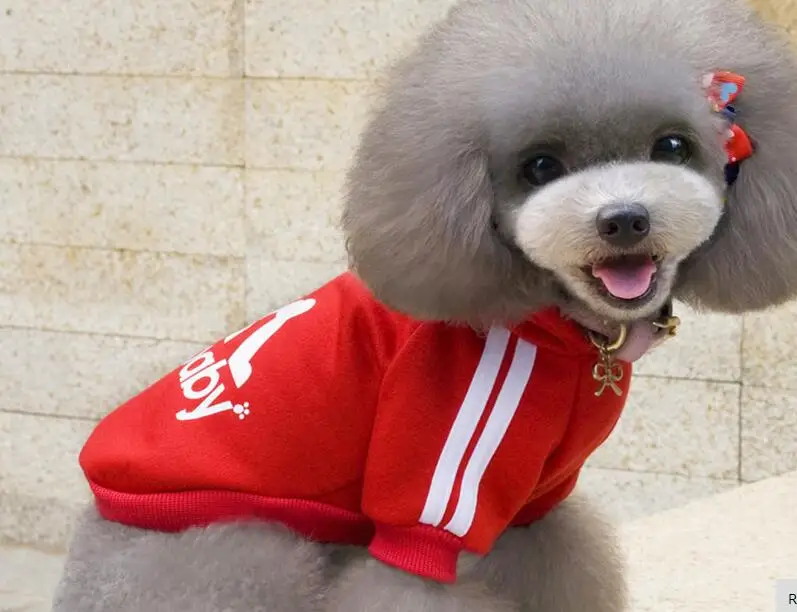 dogb