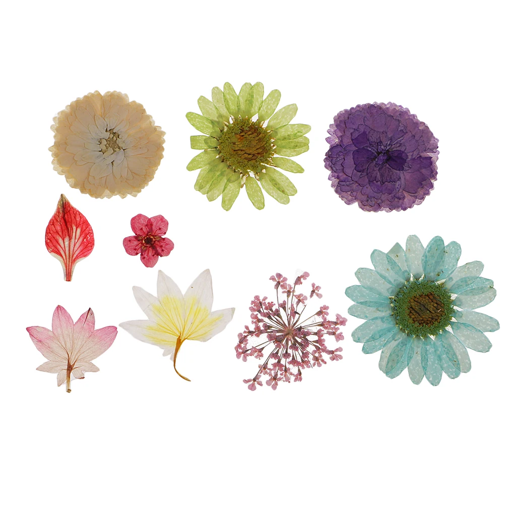 Pack Of Natural Dried Flower Real Flower Mixed For DIY Resin Ornament Craft Card Making Scrapbooking Embellishment Floral Design