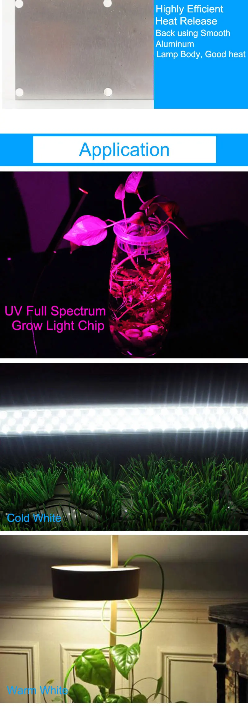 A-1_06