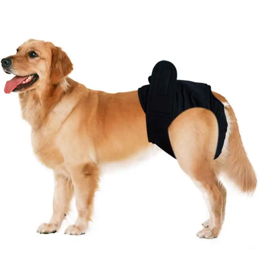Transer Pet Dog Solid Briefs for Dogs Physiological Female Biaper for