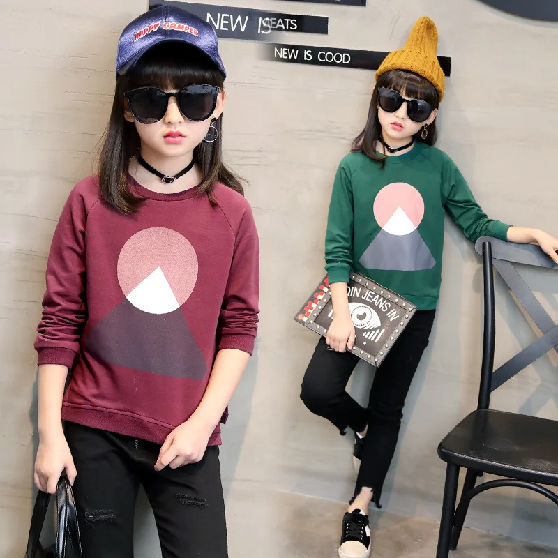 

Kids Clothes 2019 new Spring autumn Long sleeve Children's sweater cotton Leisure Children Clothing 3-12 Baby Girl Clothes