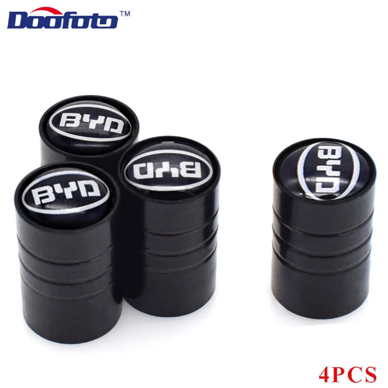 BYD (2)