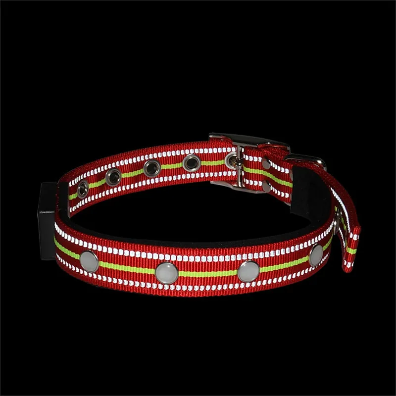 LED Dog Collar USB (23)