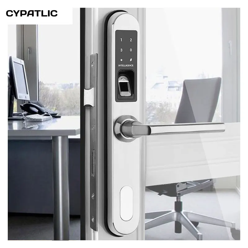 CYPATLIC полностью водонепроницаемый Serrure Porte дверные замки пароль отпечатка пальца дверные замки для деревянной двери или алюминиевой двери