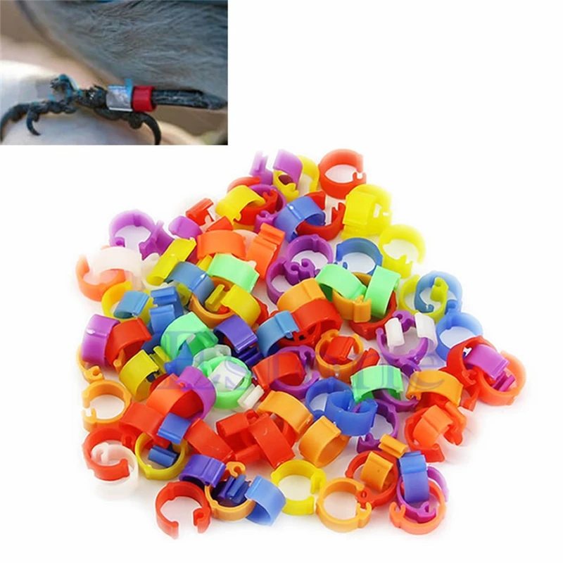 100pcs Chicken Hen Pigeon Leg Poultry Dove Bird Chicks Duck Parrot Clip Rings Band Foot Ring
