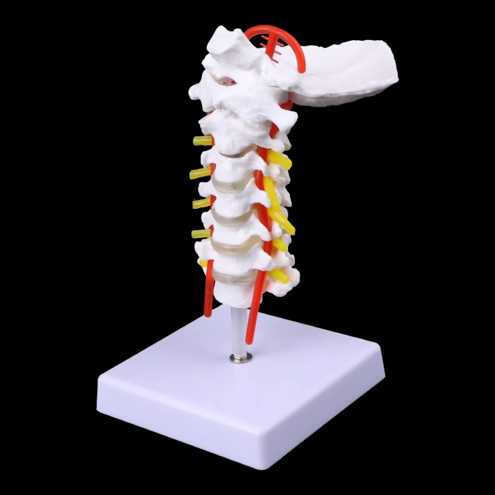 5AC1100679-5