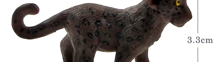 -2--DW-M-LP531-535_05