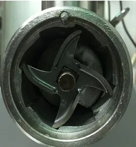 331