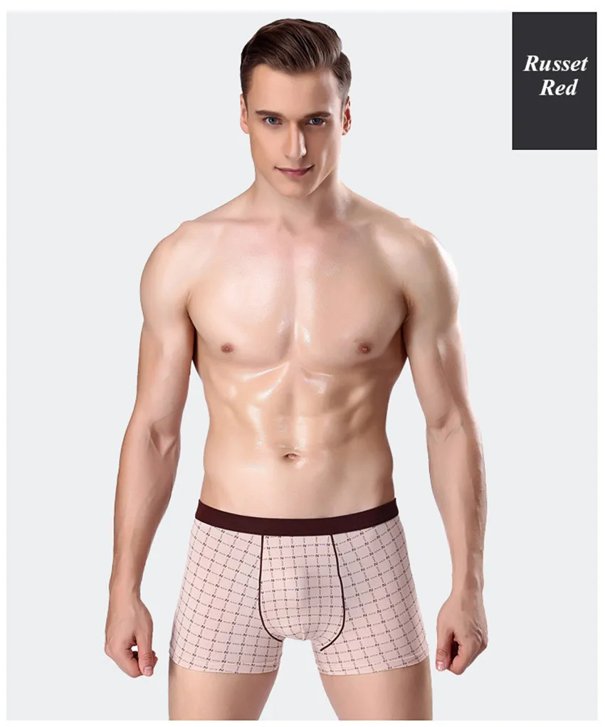 6ModelRussetRed