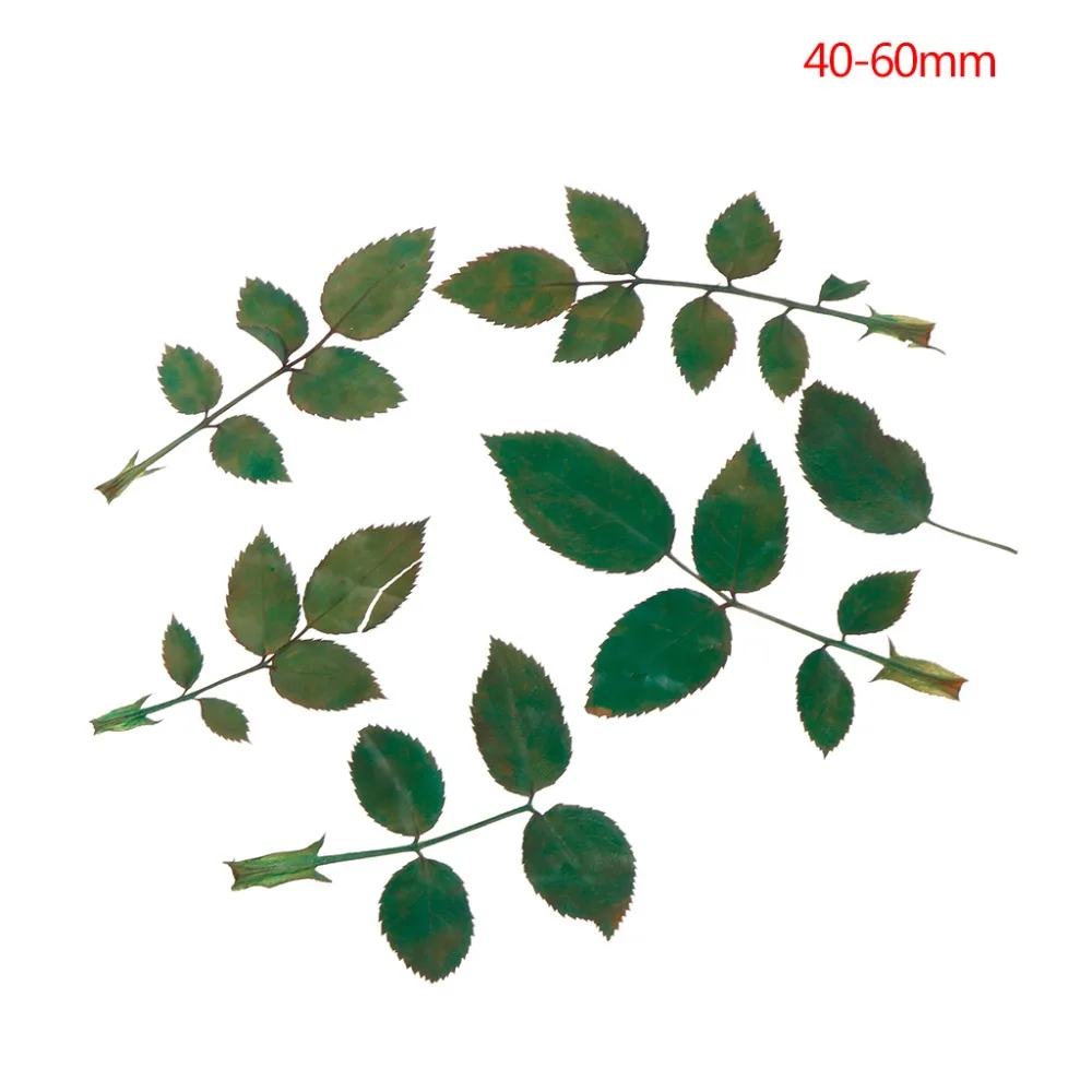 2SS304247-4
