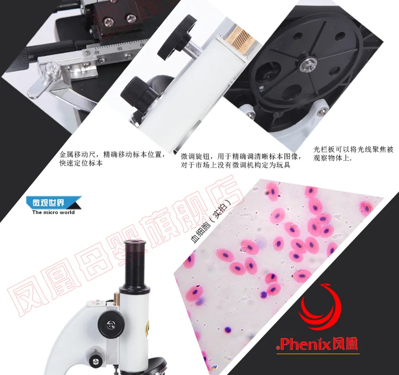 XSP-02 8