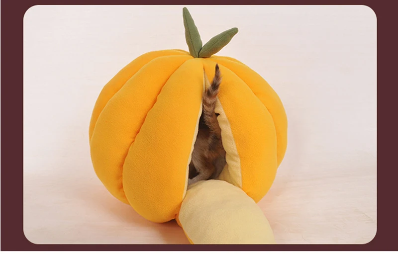 _---_17