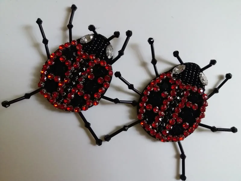 big ladybird 5