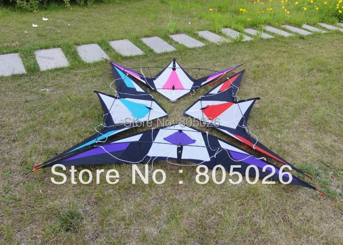 

Free Shipping high quality 2.1m Immortal Sword dual line stunt kite with Control+Tools-loud sound albatross kite hot