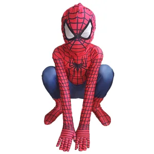 Amazing Spiderman Cosplay Costume For Boys