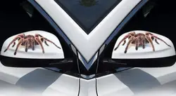 3D автомобильный стикер животные бампер паук Gecko скорпионы для Chery для Geely для отлично подходит для Datsun для Daewoo