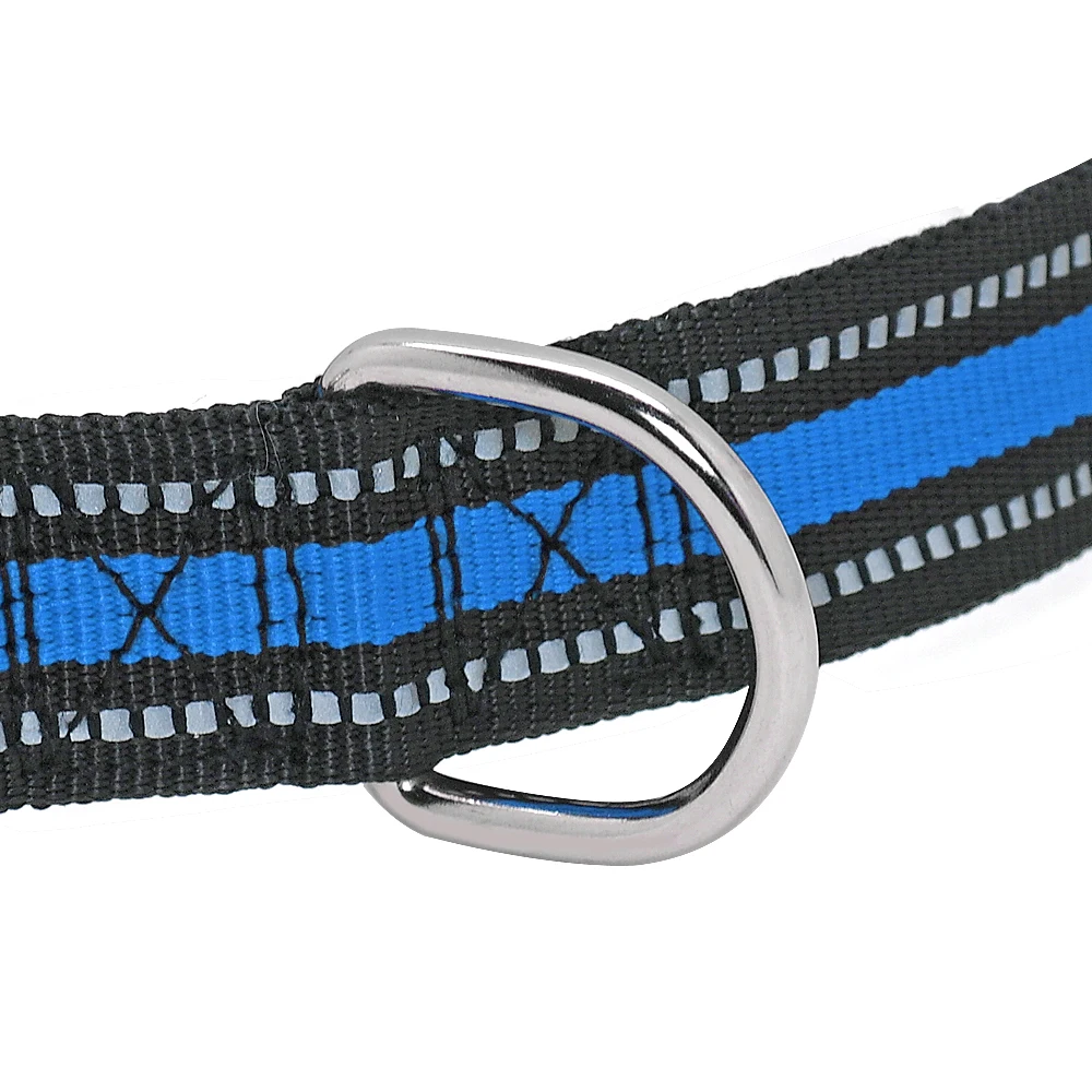 Personalized Reflective Dog Collar