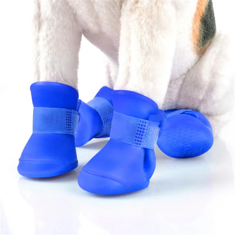 slip on shoes for dog walking