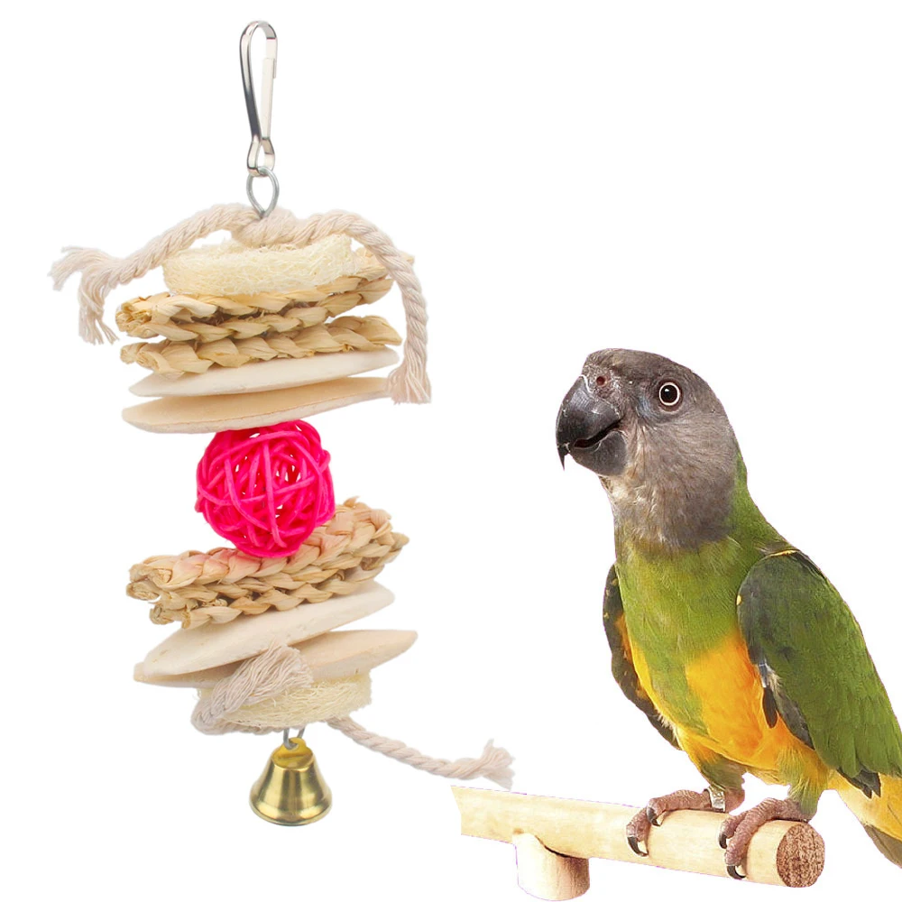 cuttlefish budgie cage