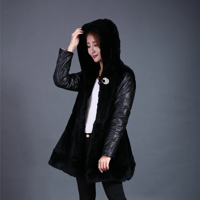LF4123 (6)