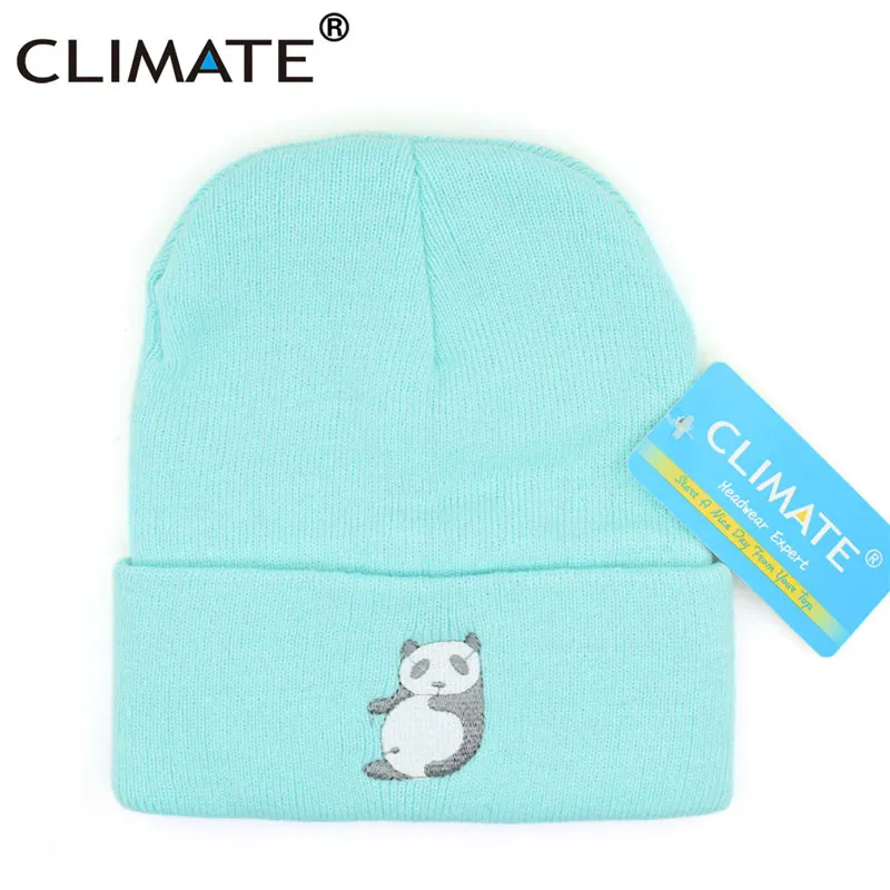Климатическая шапочка «панда», шапка для женщин и девочек, зимняя теплая шапка, Милая теплая шапка в стиле хип-хоп, Вязаная Шапка-бини для взрослых женщин и девочек-подростков - Цвет: Macaron Blue