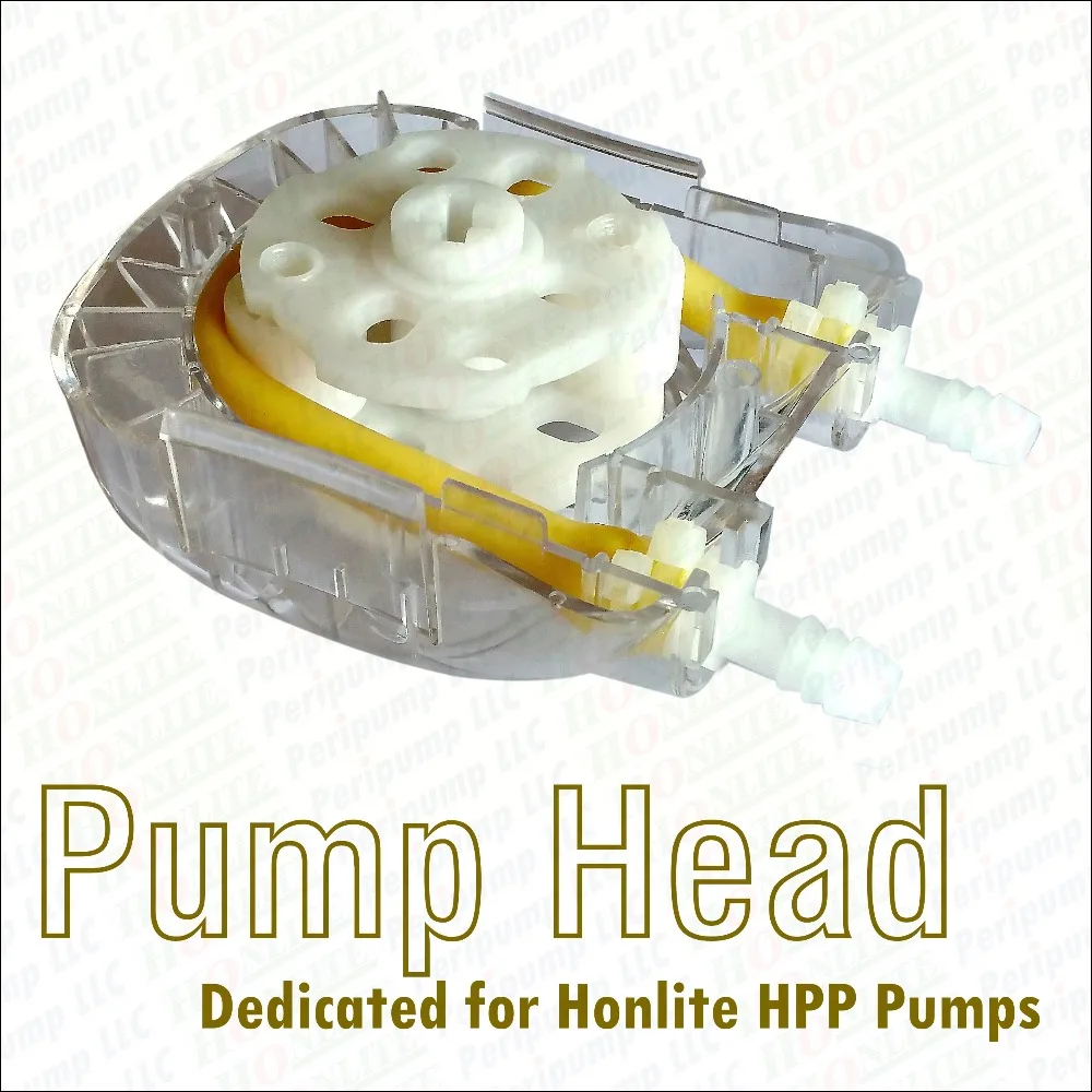 Head-ZB-L