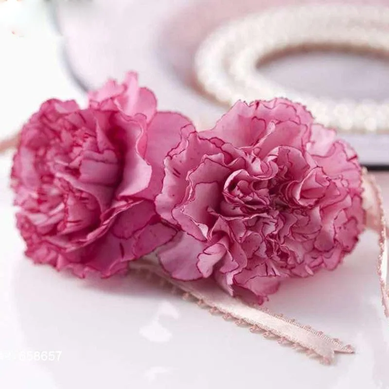 Buy 300 Pcs Carnation Seeds Multiple Colors Free Shipping