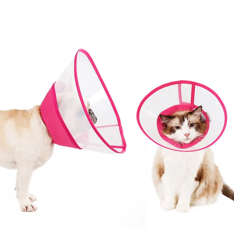 remedy recovery collars