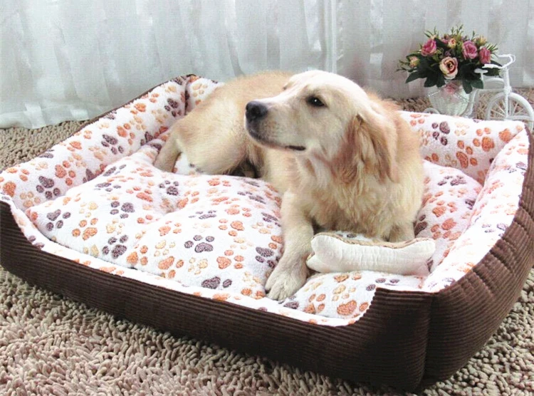 dog beds