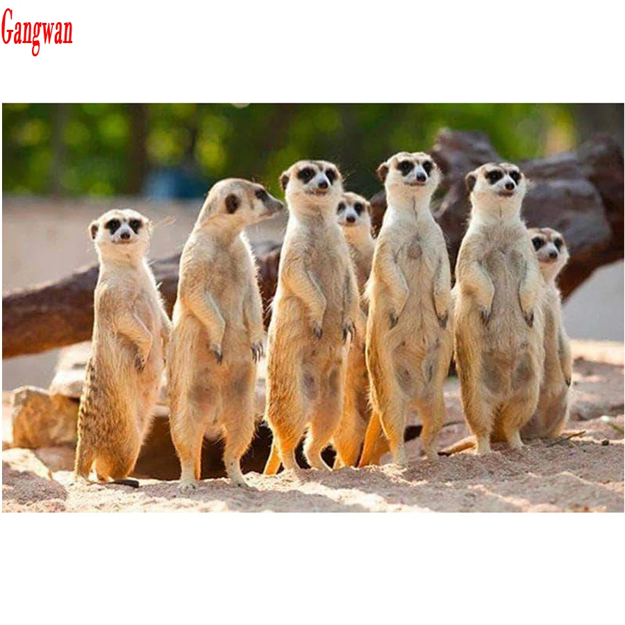 5D DIY Diamond Painting meerkat,mongoose Full Square Round Diamond Embroidery Mosaic Picture Of Rhinestone hobby decoation