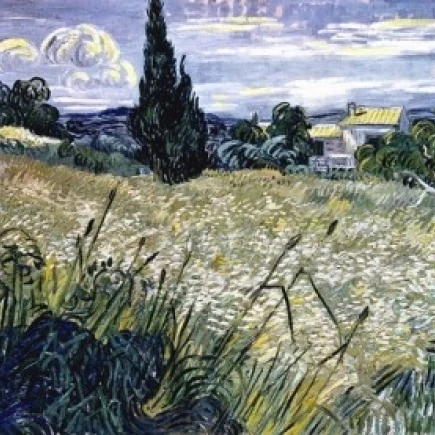 Landscape with Green Corn   Vincent van Gogh (1853-1890/Dutch)   Narodni Gallery  Prague Poster Print (18 x 24)