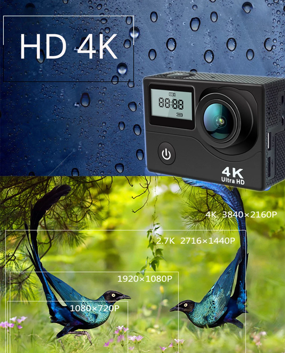 go pro (4)