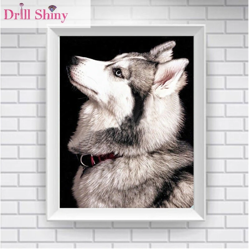 

DIY 5D Diamond Painting Animal Dog Full Square Rhinestone Mosaic Pet Paintings 3D Cross Stitch Kits Needlework Gifts