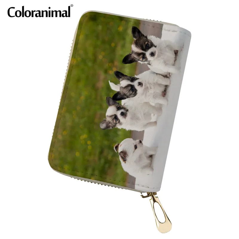 

Coloranimal Cute Puppy Dog Chihuahua Print Women Men Luxury Design Card Bag Best Gift Card Holder Multipocket Wallets ID Holder