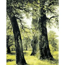 Гигантские деревья в лесу ручная работа краска высокое качество холст Красивая краска ing по номерам Сюрприз подарок большое удовлетворение