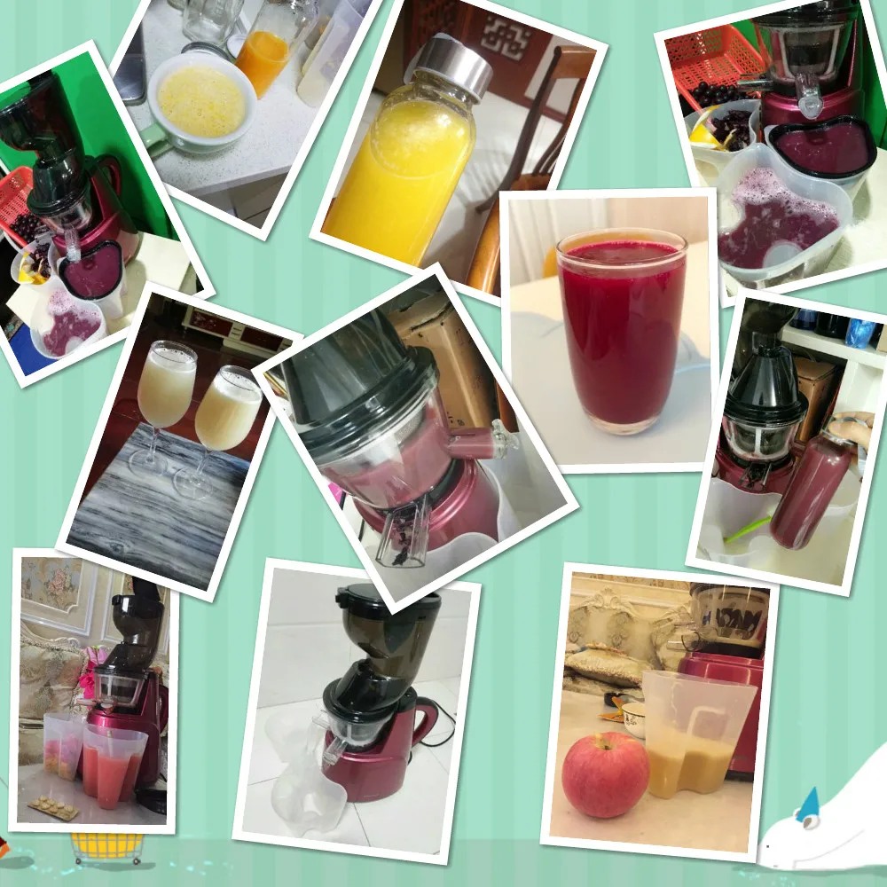 Hot sale Large Feed Chute Whole Slow Juicer wide feeding tubes Quiet low speed juice extractor for fruit vegetable citrus 2