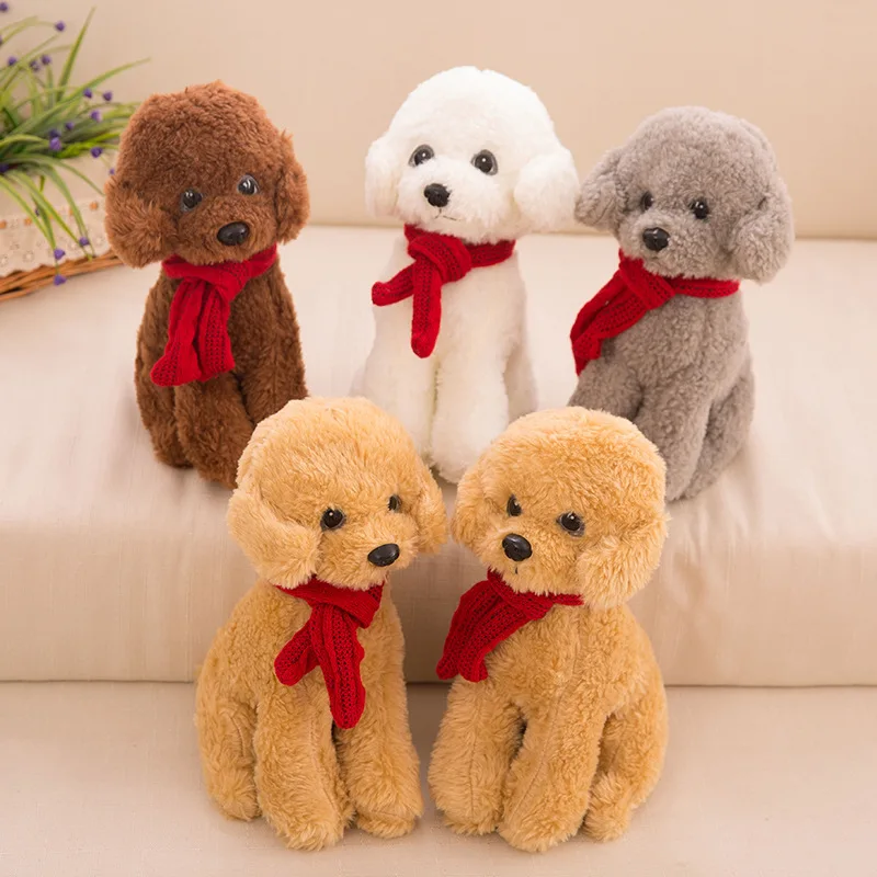 pictures of teddy dogs image gallery teddy pictures of teddy dogs image gallery teddy