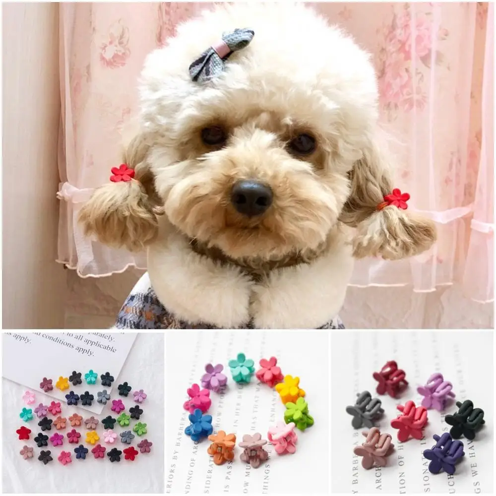 10 20 30pcs font b Pet b font Dog Grooming Accessories Products mini Small Dog Hair