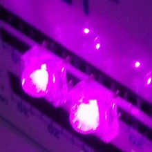 1000 шт. x 5 мм квадратный Пиранья Розовый Светодиодный Прозрачная Круглая супер Мерцающий СВЕТОДИОДНЫЙ светодиод лампа прозрачная лампа