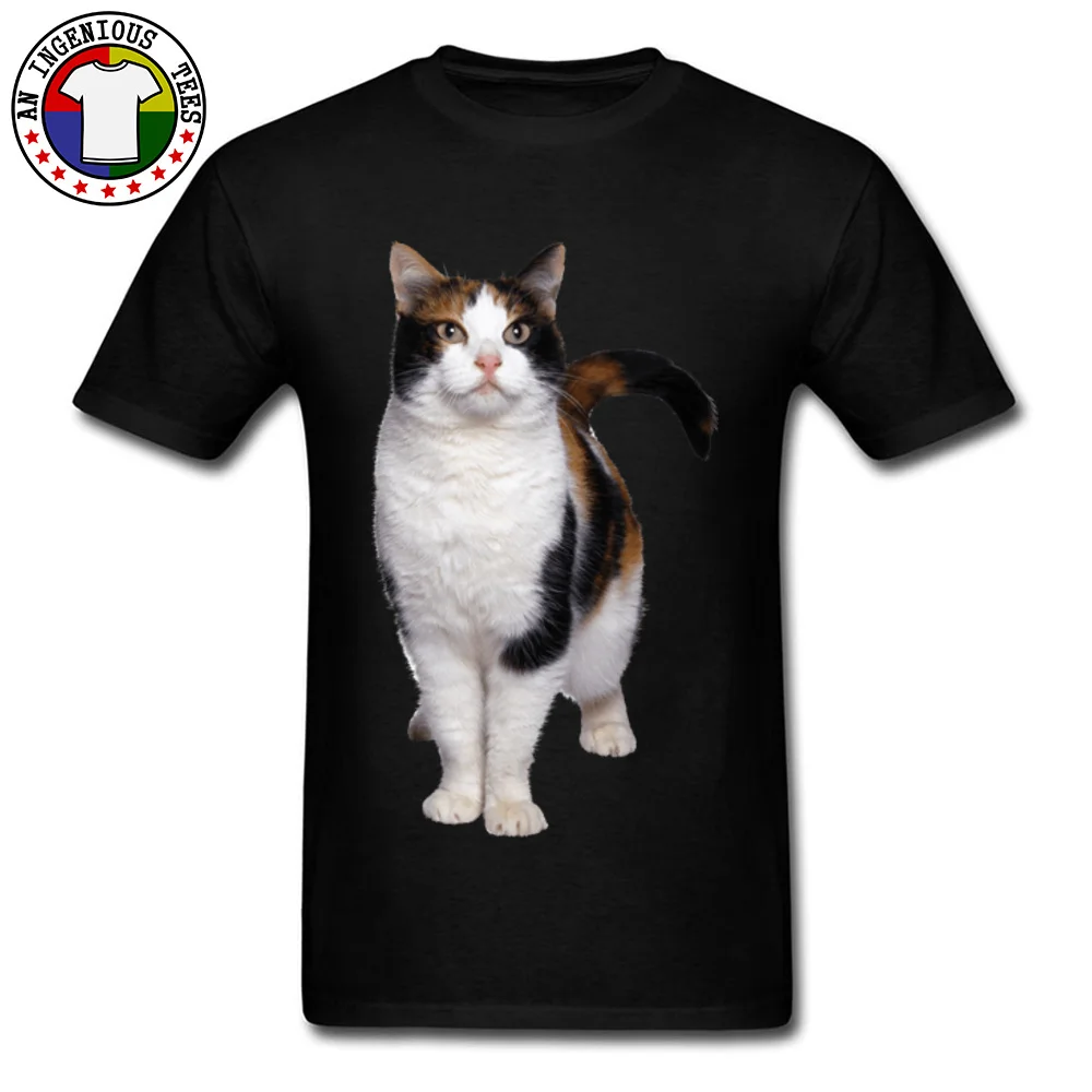 nanoblock calico cat