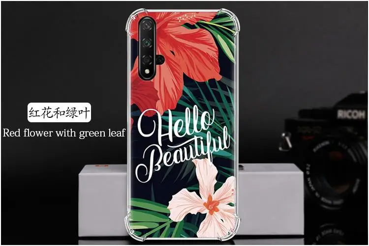 红花和绿叶 Red flower with green leaf